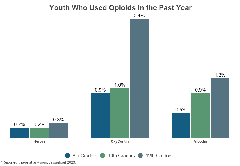 Grouped Bar Graph: Youth Who Used Opioids in the Past Year, teen drug use on NCDAS